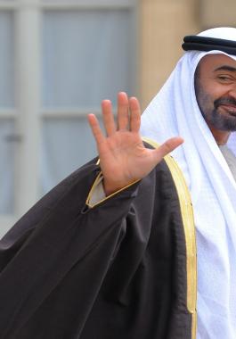 محمد بن زايد