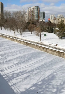 حلبة من الجليد