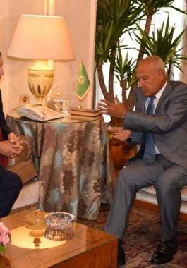 أبو الغيط ولازاريني