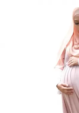 الحامل
