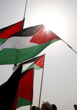 أعلام فلسطين.jpg