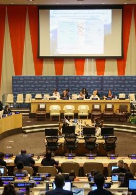 المجلس الاقتصادي والاجتماعي للأمم المتحدة.jpg