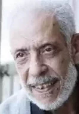 نبيل الحفلاوي