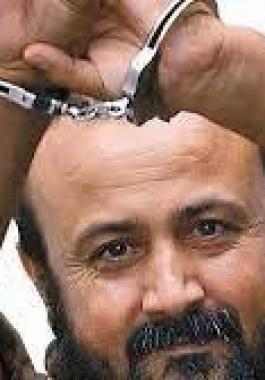 تنزيل (6).jpeg