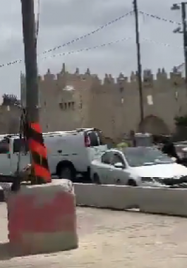 لقطة الشاشة 2024-04-30 131803.png