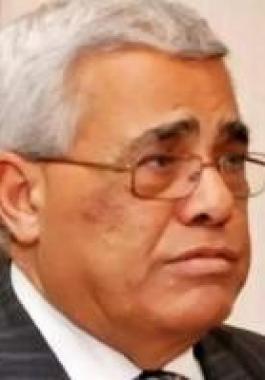حسن نافعة.jpeg