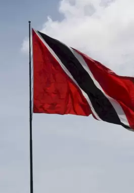 national-flag-of-trinidad-tobago-283b188e-d35f-45cf-8702-dd966e5ff2e4-1714714157.jpg.webp