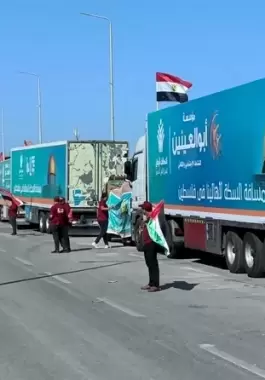 مساعدات
