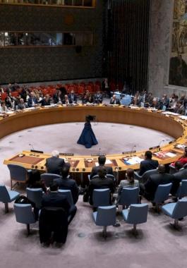 مجلس الأمن