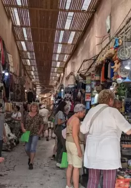 حديث-جانبي-1695204499.webp
