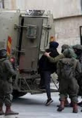 تنزيل (10).jpeg