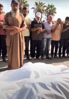 لقطة الشاشة 2024-07-15 113505.png