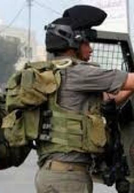 تنزيل (14).jpeg