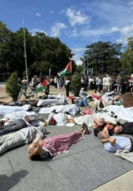 لقطة الشاشة 2024-08-27 100849.png