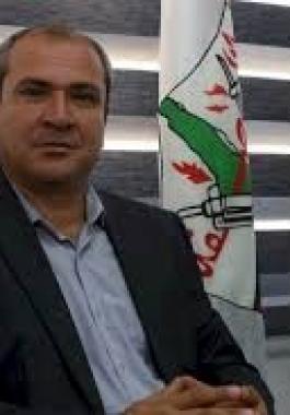 تنزيل (13).jpeg