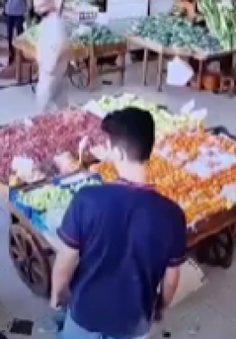 لقطة الشاشة 2024-09-17 173751.png