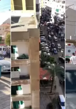شسيبلا-1726579095.webp