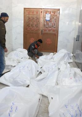 WafaImage (4).jfif-53041575-9515-4e69-9b76-d4dc1920e2fa.jpg