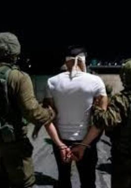 تنزيل (17).jpeg