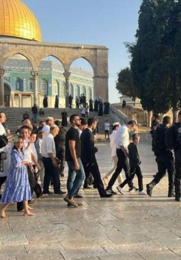 مستعمرون يقتحمون الأقصى.jpg-ff1ef715-47bb-4ccc-a783-43119c81b1f3.jpg-c5f60080-a62a-497d-b541-2948409d4830.jpg