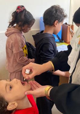 WafaImage (7).jpeg-17371252-26e9-4e87-a2c9-d9ca5935c20d.jpeg