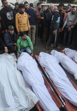 WafaImage (63).jfif-7e993406-c414-43f0-a410-08ebb900cc04.jpg