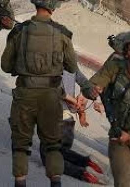 تنزيل (21).jpeg