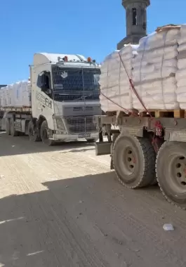 المساعدات