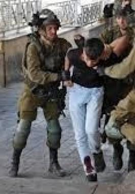 تنزيل (20).jpeg