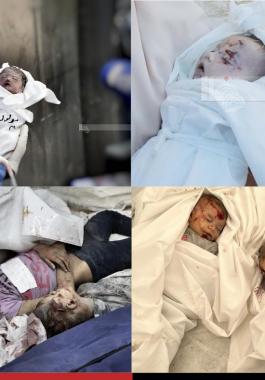 اطفال شهداء