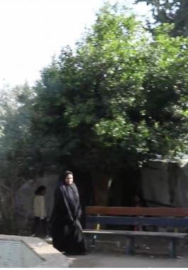 عائلة من البريج1