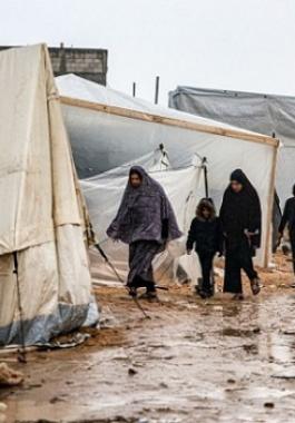 منخفض قطبي غزة