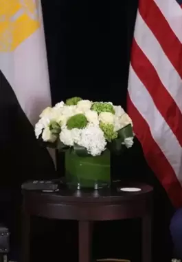 السيسي وترامب