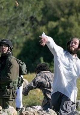 مستوطنين يهاجمون المواطنين