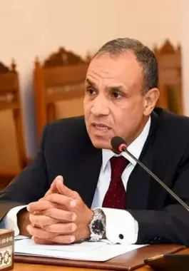 وزير الخارجية المصري عبد العاطي