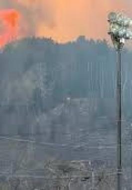 حرائق اليابان