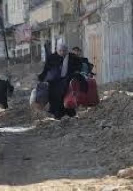 تنزيل (6).jpeg
