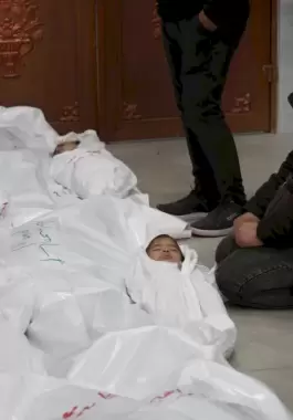 شهداء-غزة-1711723532.jpg.webp