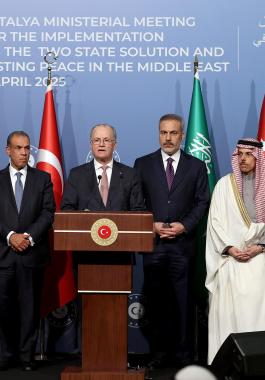 رئيس الوزراء، ووزير الخارجية محمد مصطفى