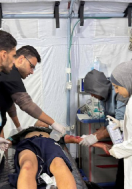 لقطة الشاشة 2025-04-28 102445.png