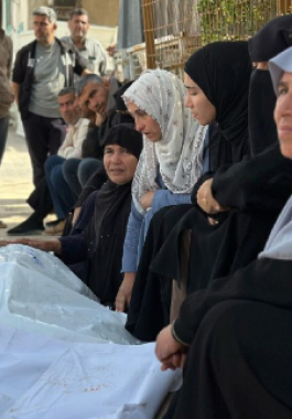 لقطة الشاشة 2025-04-02 105926.png