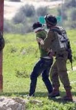 تنزيل (12).jpeg