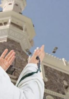 الحمل والحج