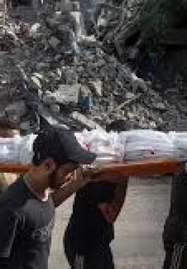 تنزيل (15).jpeg