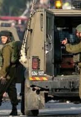 تنزيل (12).jpeg