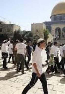 تنزيل (15).jpeg