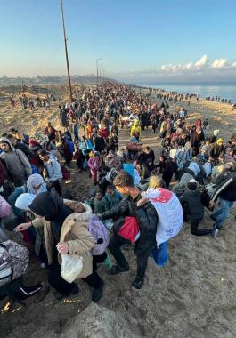 WhatsApp Image 2025-01-27 at 8.07.25 AM.jpeg-7af53b50-cf0c-477e-a773-63417ef6a0a4.jpeg-050b6af0-09e0-4b1b-bf57-b199a1438349.jpeg