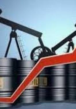 تنزيل (15).jpeg