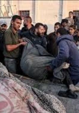 تنزيل (14).jpeg