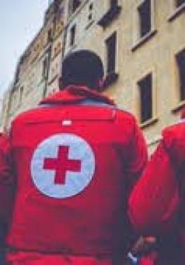 تنزيل (14).jpeg